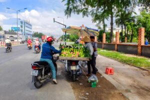 fruit-vendors-in-VN