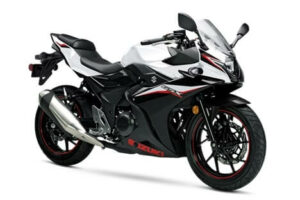 2021-Suzuki-GSX250R-Silver (1)